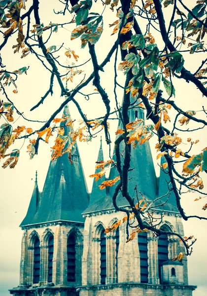 Een weergave via de takken van kastanje boom op de Sint-Nicolaaskerk in het middeleeuwse stadje Blois in Loire vallei (Val de Loire, Frankrijk) selectieve aandacht op de twijgen. Leeftijd foto. — Stockfoto