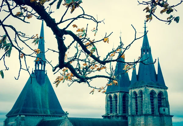 A view through the branches of chestnut tree on the Saint-Nicolas church in the medieval town Blois in Loire valley ( Val de Loire, France) Selective focus on the twigs. Aged photo. — 图库照片
