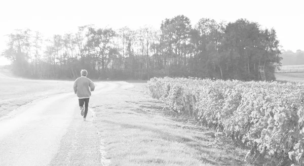 A mid aged man running at sunset near the vineyard. Autumn in Loire Valley (Val de Loire, France) Retro aged photo. Black and white.