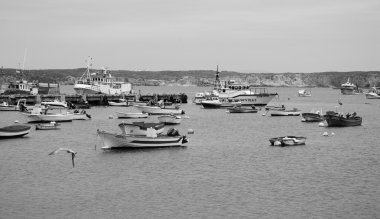 Sagres, Portekiz - 3 Mayıs 2015: Balıkçı tekneleri Algarve bölgesi Sagres bağlantı noktası olarak. Bölgede balıkçılık turları turistler için önerilen