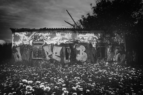 Antigua granja de piedra abandonada cubierta de graffiti y rodeada de flores de margarita. Al sur de Portugal. Antes de la tormenta. Niebla. Foto tonificada oscura. Blanco y negro. Vignette ALGARVE, PORTUGAL - 3 DE MAYO , —  Fotos de Stock