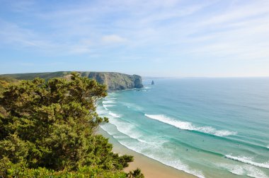 Portekiz Algarve bölgesinde Beach. Yüzme insanlar ve sörf. Çam ağaçları, ön plan. Üstten görünüm.