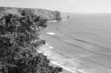 Portekiz Algarve bölgesinde Beach. Yüzme insanlar ve sörf. Üstten Görünüm. Seçici odak ön plan, çam ağaçları. Yaşlı fotoğraf. Siyah ve beyaz.