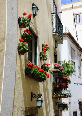 Sardunya çiçek kapları ve fenerler ile dekore edilmiş ev. Lisbon, Portekiz.