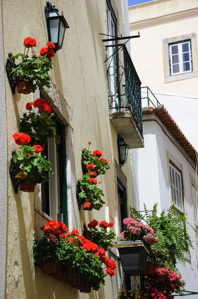 House decorated with geranium flower pots and lanterns. Lisbon, Portugal. — Stock Photo, Image