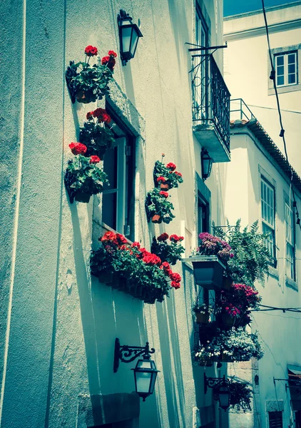 House decorated with geranium flower pots and lanterns. Lisbon, Portugal. Toned photo. — Stock Photo, Image