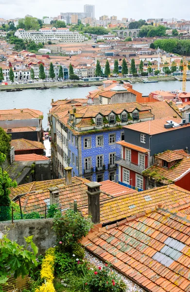 Jardín en la azotea y tejados de tejas rojas casas de la ciudad vieja. Oporto, Portugal . — Foto de Stock