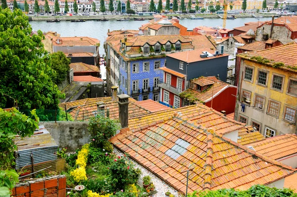 Jardín en la azotea y tejados de tejas rojas casas de la ciudad vieja. Oporto, Portugal . — Foto de Stock