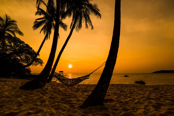 Ciemne sylwetki hamak i palmy — Zdjęcie stockowe