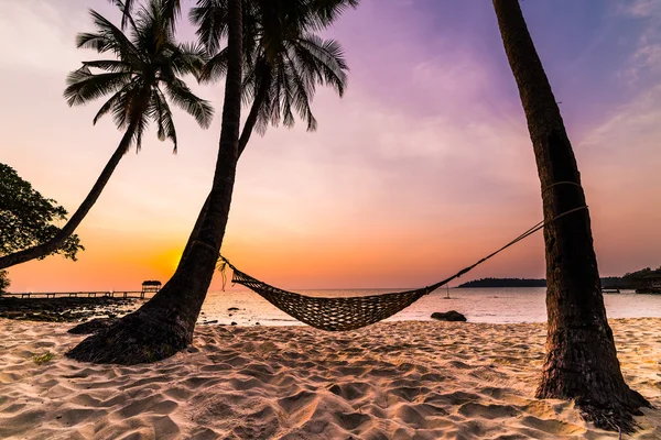 Tropisch paradijs - hangmat tussen de palmbomen — Stockfoto