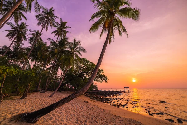 Hermosa puesta de sol sobre el mar con vistas a las palmeras — Foto de Stock