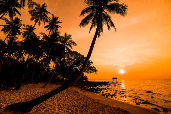 Silueta de cocoteros en Koh Kood, Tailandia — Foto de Stock