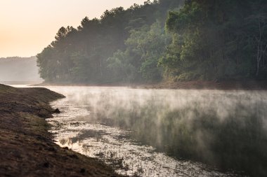 Pang ung Ormancılık tarlaları, maehongson, Kuzey Tayland