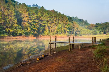 Pang ung Ormancılık tarlaları, maehongson, Kuzey Tayland