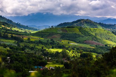 Güzel dağ manzarası ve tropikal yağmur önlükleri.