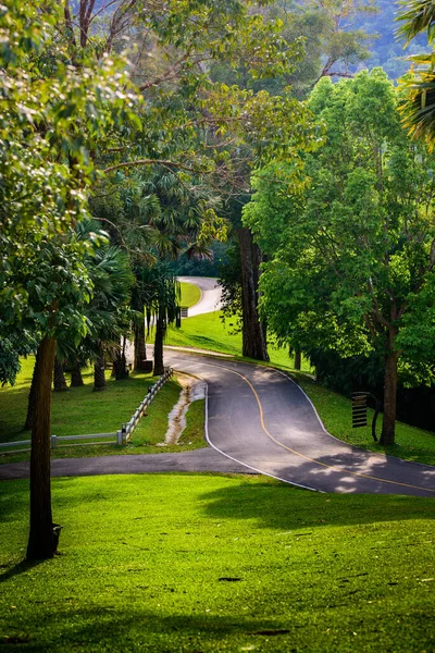 Country Road Running Tree — Stock Photo, Image