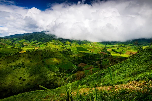 Bela Paisagem Vista Para Montanha Floresta Tropical — Fotografia de Stock