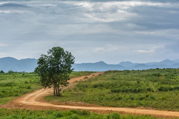 Un camino de tierra subiendo una colina en un campo con hierba verde vibrante , —  Fotos de Stock