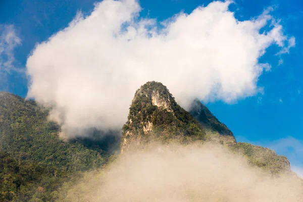 Cume alta montanha em névoa grossa — Fotografia de Stock