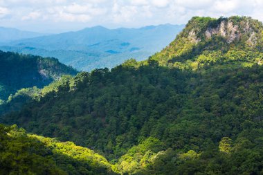 Tropikal dağ, Tayland