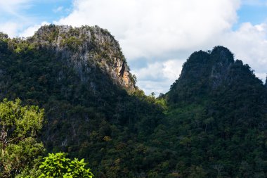 Tropikal dağ, Tayland