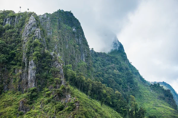 Cume alta montanha em névoa grossa — Fotografia de Stock