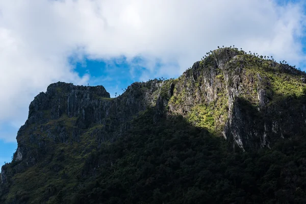 Tropikal dağ, Tayland — Stok fotoğraf