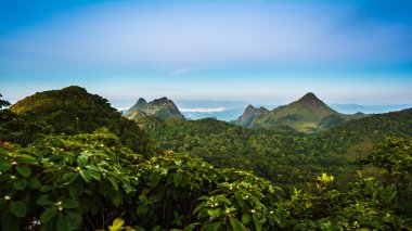tropikal yağmur ormanları, khao yai Milli Parkı Tayland