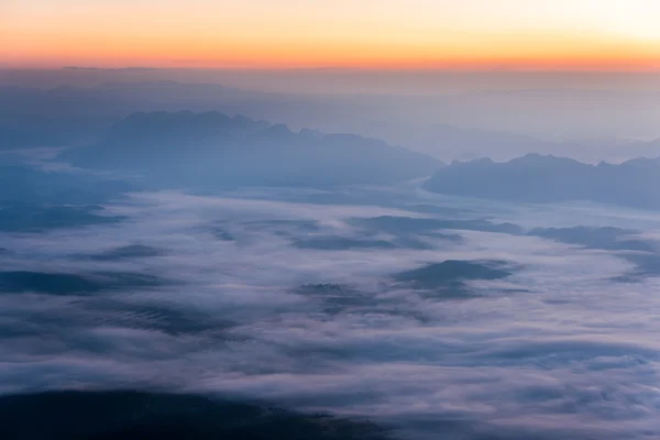 Nebbia marina nella foresta — Foto Stock