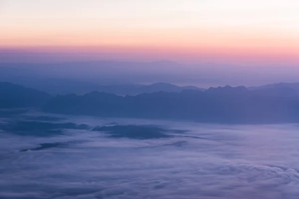 Nebbia marina nella foresta — Foto Stock