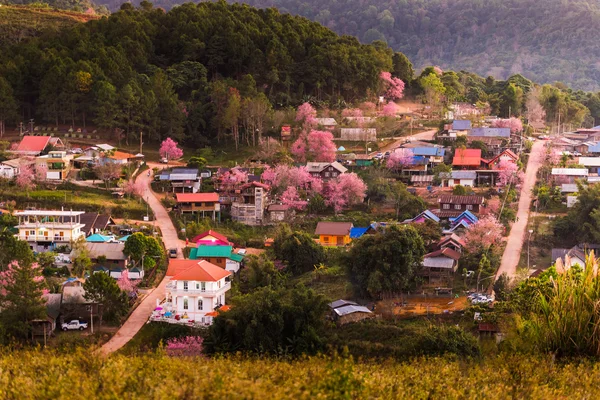 山中的村庄 — 图库照片