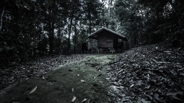 Cabaña desierta en el bosque — Foto de Stock