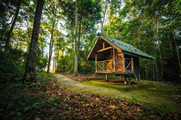 Cabin in the Woods — Stock Photo, Image