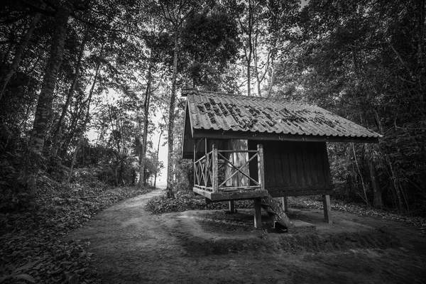 Cabaña en el bosque — Foto de Stock