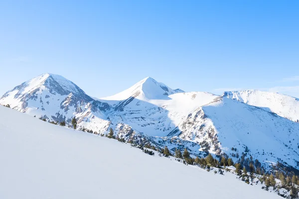 雪をかぶった山々 — ストック写真