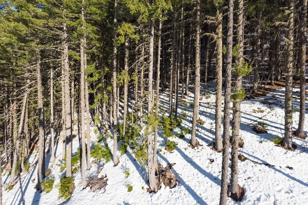 Mountain landscape in sunny winter frosty day with blue clear sky. — Stock Photo, Image