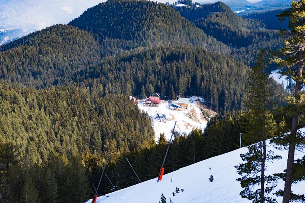 Winterlandschaft Bergwald Schnee — Stockfoto