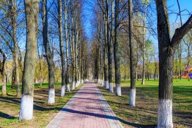 Sokak bahar güneşli bir gün