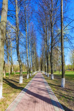 Sokak bahar güneşli bir gün