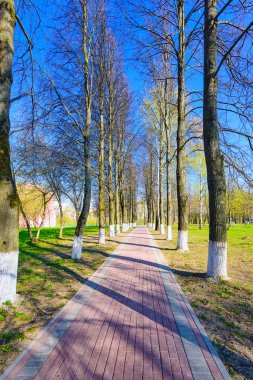 Sokak bahar güneşli bir gün