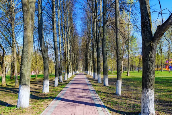 Sokak bahar güneşli bir gün