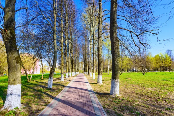 Callejón primavera día soleado — Foto de Stock