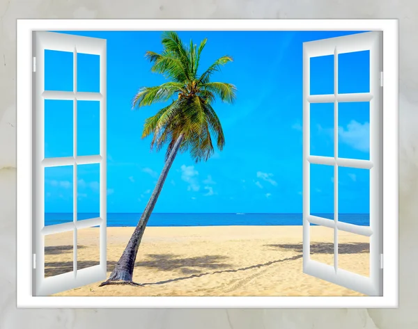 Ocean view penceresi