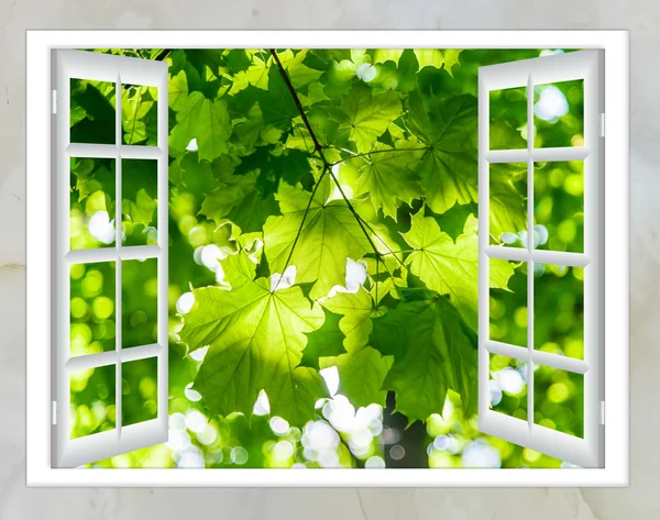 Nature landscape with  view through  window — Stock Photo, Image