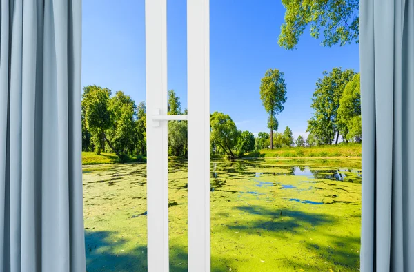 Utsikt över dammen — Stockfoto