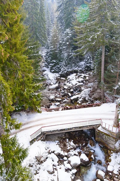 Inverno montanha rio ponte — Fotografia de Stock