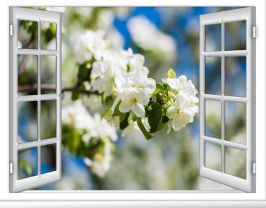 Görünüm penceresi çiçekli ağaç