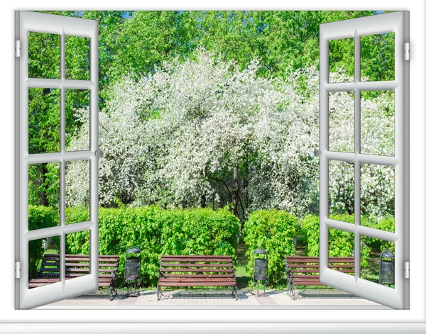 Sichtfenster blühender Baum — Stockfoto