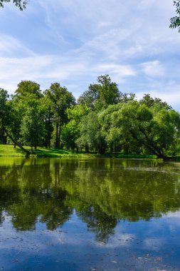 parkta su organıdır büyümüş çamur