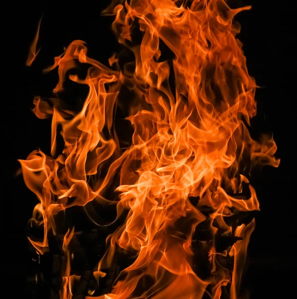 Raging flames red fire black background — Stock Photo, Image